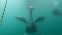 Drachen-Alarm am Sundhäuser Kiesteich Bild: Drachen-Alarm am Sundhäuser Kiesteich