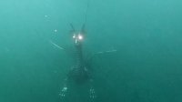 Drachen-Alarm am Sundhäuser Kiesteich Bild: Drachen-Alarm am Sundhäuser Kiesteich