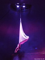 Circus KARL BUCH kommt nach Bad Langensalza Bild: Circus KARL BUCH kommt nach Bad Langensalza