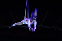 Circus KARL BUCH kommt nach Bad Langensalza Bild: Circus KARL BUCH kommt nach Bad Langensalza