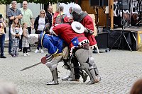 Bild: 29. Mittelalterfest in Bad Langensalza