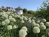 Bild: Impressionen aus der Rosenstadt Bad Langensalza