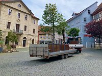 Bild: Impressionen aus der Rosenstadt Bad Langensalza