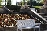 Bild: Impressionen aus der Rosenstadt Bad Langensalza