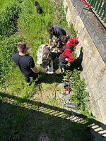 Hund steckt im Wassergraben fest Bild: Hund steckt im Wassergraben fest