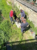 Hund steckt im Wassergraben fest Bild: Hund steckt im Wassergraben fest