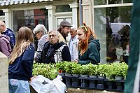 Bild: Das "Gr&uuml;ne Innenstadtfest" von Bad Langensalza 