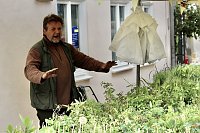 Bild: Das "Gr&uuml;ne Innenstadtfest" von Bad Langensalza 