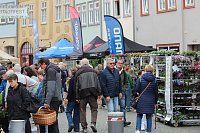 Bild: Das "Gr&uuml;ne Innenstadtfest" von Bad Langensalza 