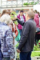 Bild: Das "Gr&uuml;ne Innenstadtfest" von Bad Langensalza 