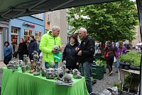 Bild: Das "Gr&uuml;ne Innenstadtfest" von Bad Langensalza 