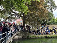 Menschen und Enten am und im Wasser Bild: Menschen und Enten am und im Wasser