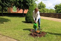 Bild: Ein neuer Rosenstock f&uuml;r Anja Klement und bad Langensalza