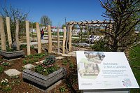 Bild: Impressionen von derEr&ouml;ffnung der Landesgartenschau in Leinefelde. 