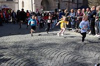13. TMP 3-Türme-Lauf in Bad Langensalza Bild: 13. TMP 3-Türme-Lauf in Bad Langensalza