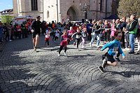 13. TMP 3-Türme-Lauf in Bad Langensalza Bild: 13. TMP 3-Türme-Lauf in Bad Langensalza