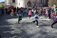 13. TMP 3-Türme-Lauf in Bad Langensalza Bild: 13. TMP 3-Türme-Lauf in Bad Langensalza