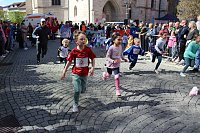 13. TMP 3-Türme-Lauf in Bad Langensalza Bild: 13. TMP 3-Türme-Lauf in Bad Langensalza