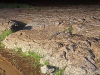 Unwetter-Einsatz im Unstrut-Hainich-Kreis Bild: Unwetter-Einsatz im Unstrut-Hainich-Kreis