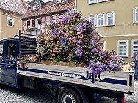 Bild: Festumzug zum 214. Brunnenfest