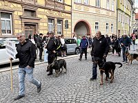 Bild: Festumzug zum 214. Brunnenfest