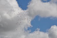 Buntes Programm zum FAMILIENTAG in der Galerie Bild: Buntes Programm zum FAMILIENTAG in der Galerie