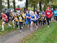 Bild: Stadtparklauf Sondershausen