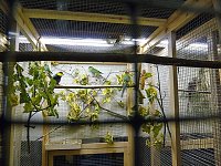 Vogelausstellung in Sondershausen Bild: Vogelausstellung in Sondershausen