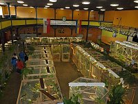 Vogelausstellung in Sondershausen Bild: Vogelausstellung in Sondershausen