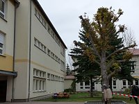 Teilsperrung Franzbergschule Bild: Teilsperrung Franzbergschule
