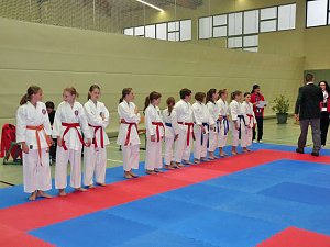 Meisterschaften im Karate
