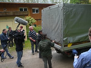 B&auml;rin Conny zieht nach Worbis