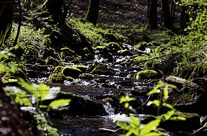 Unterwegs im Naturpark S&uuml;dharz