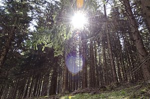 Unterwegs im Naturpark S&uuml;dharz
