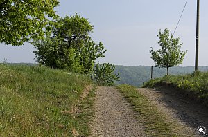 Wanderung im Morgengrauen