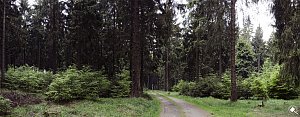 Wandergrüße aus Rothesütte