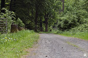 Wandergrüße aus Rothesütte