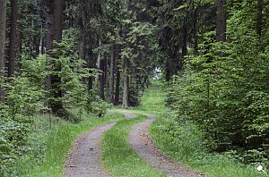 Wandergrüße aus Rothesütte