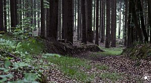 Wandergrüße aus Rothesütte