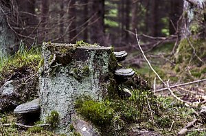 Wandergrüße aus Rothesütte