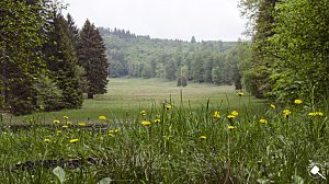 Wandergrüße aus Rothesütte
