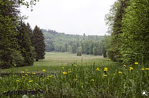 Wandergrüße aus Rothesütte
