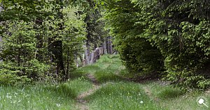 Wandergrüße aus Rothesütte