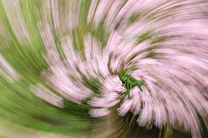Keine Angst vor dem Herbst
