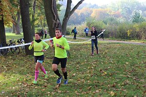 Die langen Strecken beim Stadtparklauf