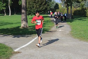 Die langen Strecken beim Stadtparklauf