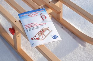 Sicherheit auch beim Schlittenkauf