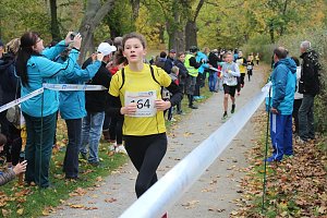 24. Stadtparklauf in Sondershausen (1)