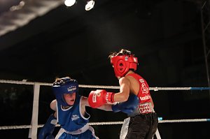 14:8-Sieg des NSV &uuml;ber den Boxclub Straubing