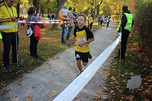 Stadtparklauf in Sondershausen (2)